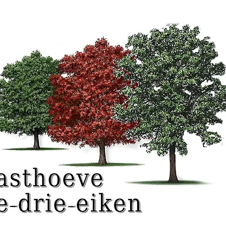 Gasthoeve-de-drie-eiken Oploo