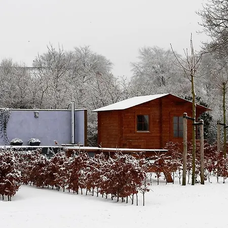 Gasthoeve-de-drie-eiken Bed & Breakfast Oploo