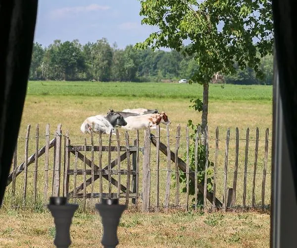 Gasthoeve-de-drie-eiken Gasthuis Oploo
